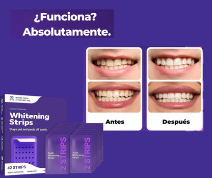 Tiras Blanqueadoras Púrpura (Edición Limitada)
