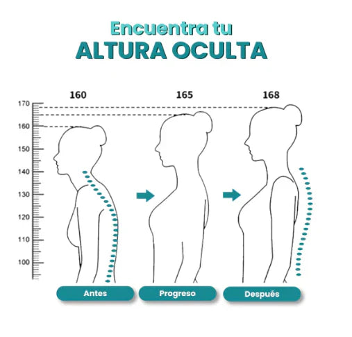 Corrector de Espalda (Edición Limitada)