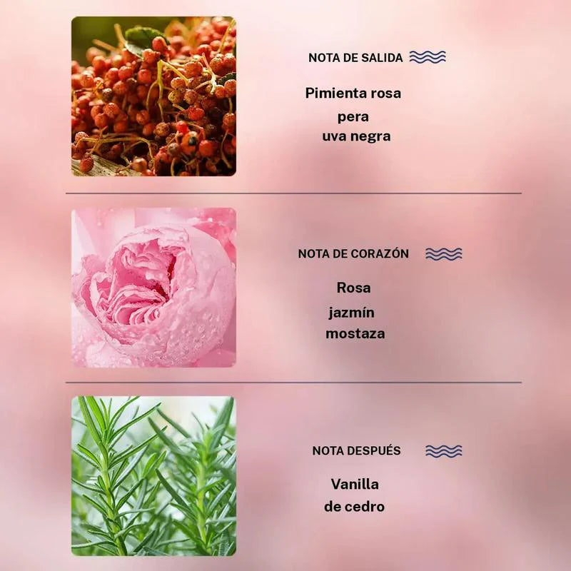 Perfume de Arena Movediza Rosa Vainilla (Edición Limitada)